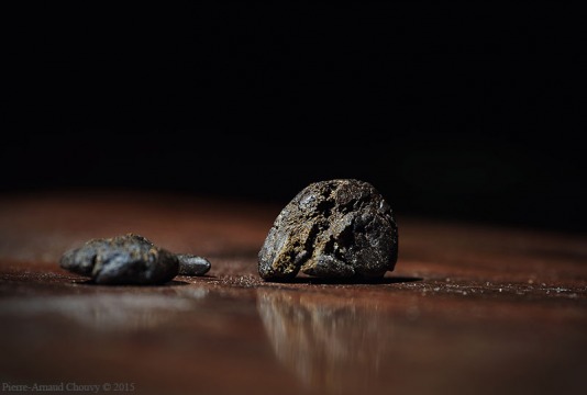 4T6Z0546_DxO