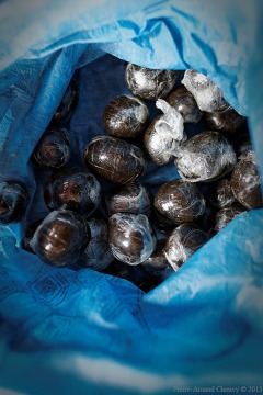 IMG_0368_DxO